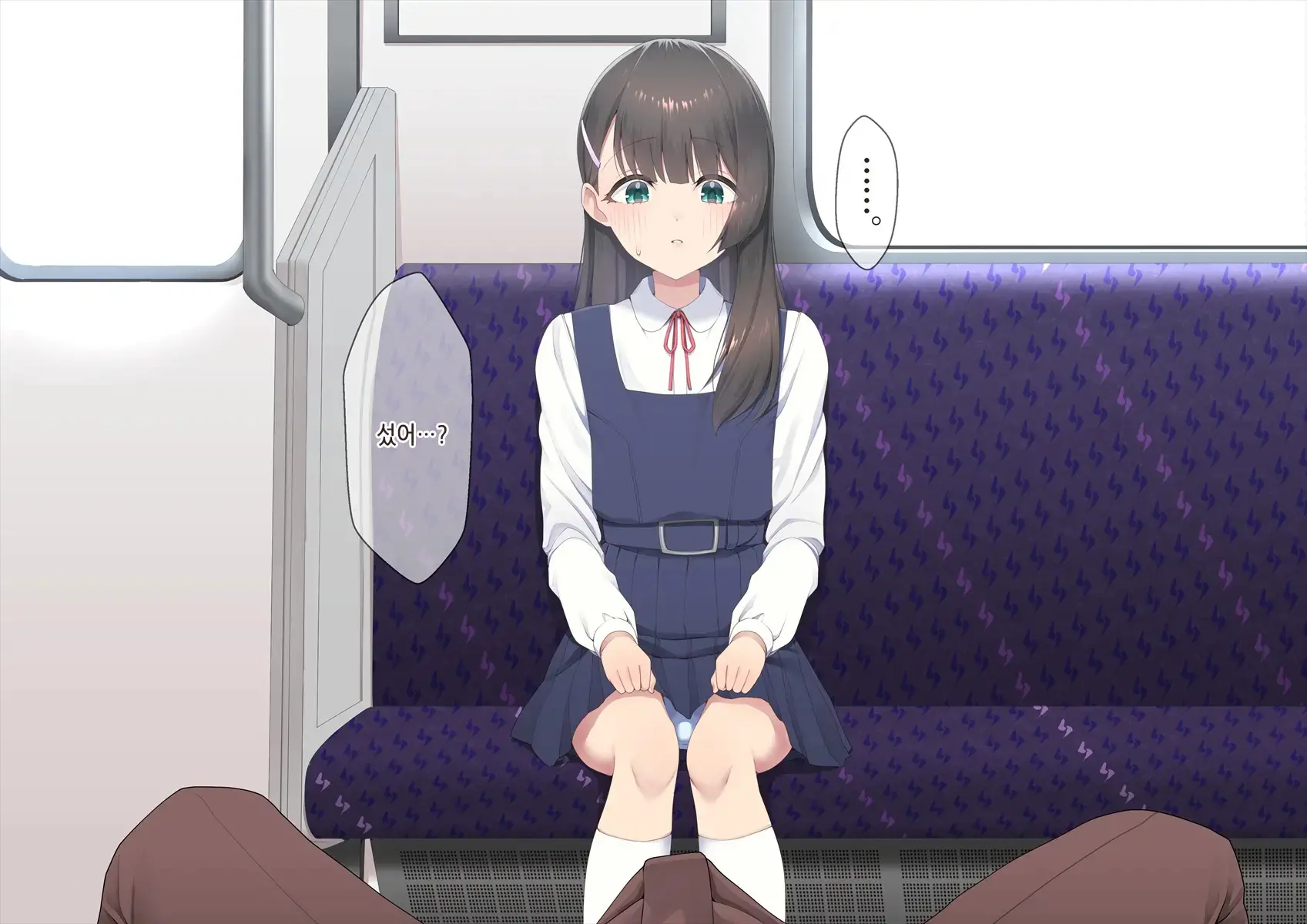 Densha De Bokki O Mitsukeru Otokonoko | 전철에서 발기 자지를 발견한 낭자애